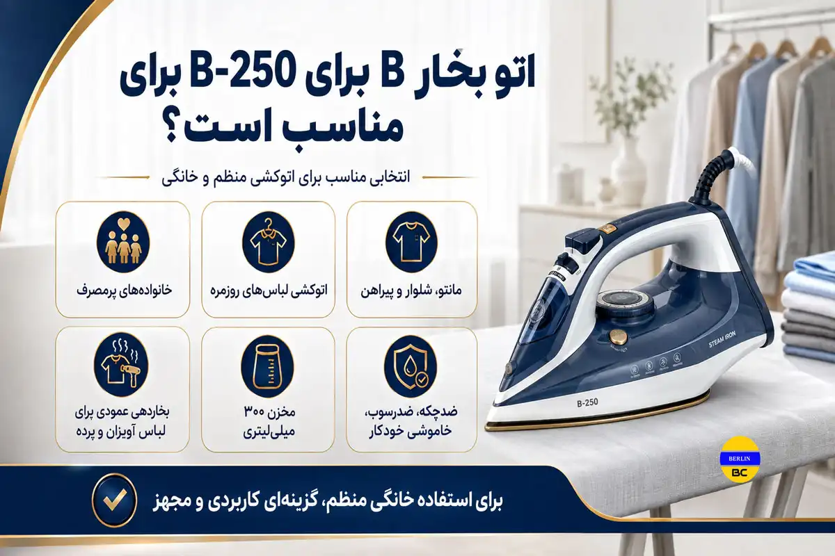 اتو بخار B-250 برای چه کسانی مناسب است؟